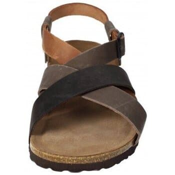 Men's Sandals Interbios Brown