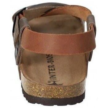 Men's Sandals Interbios Brown