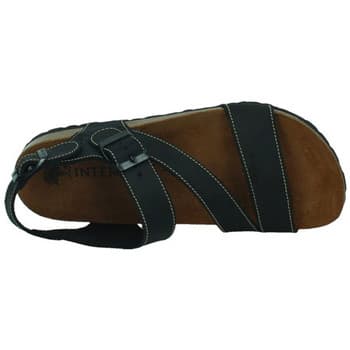 Men's Sandals Interbios Black