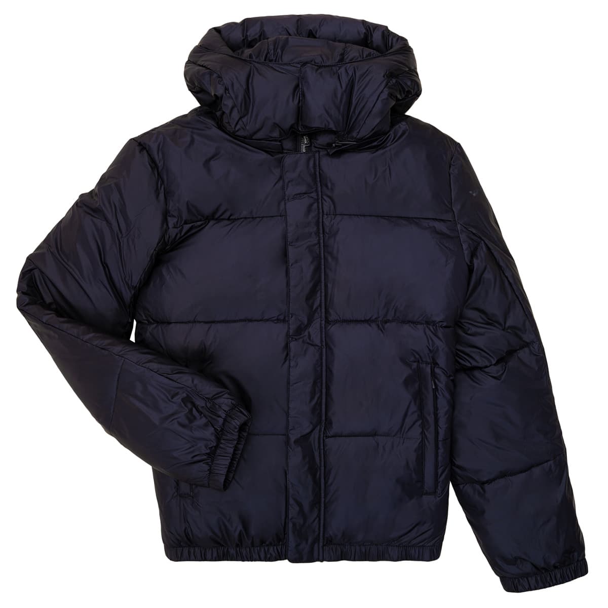 Boys' Jackets Emporio Armani Blue