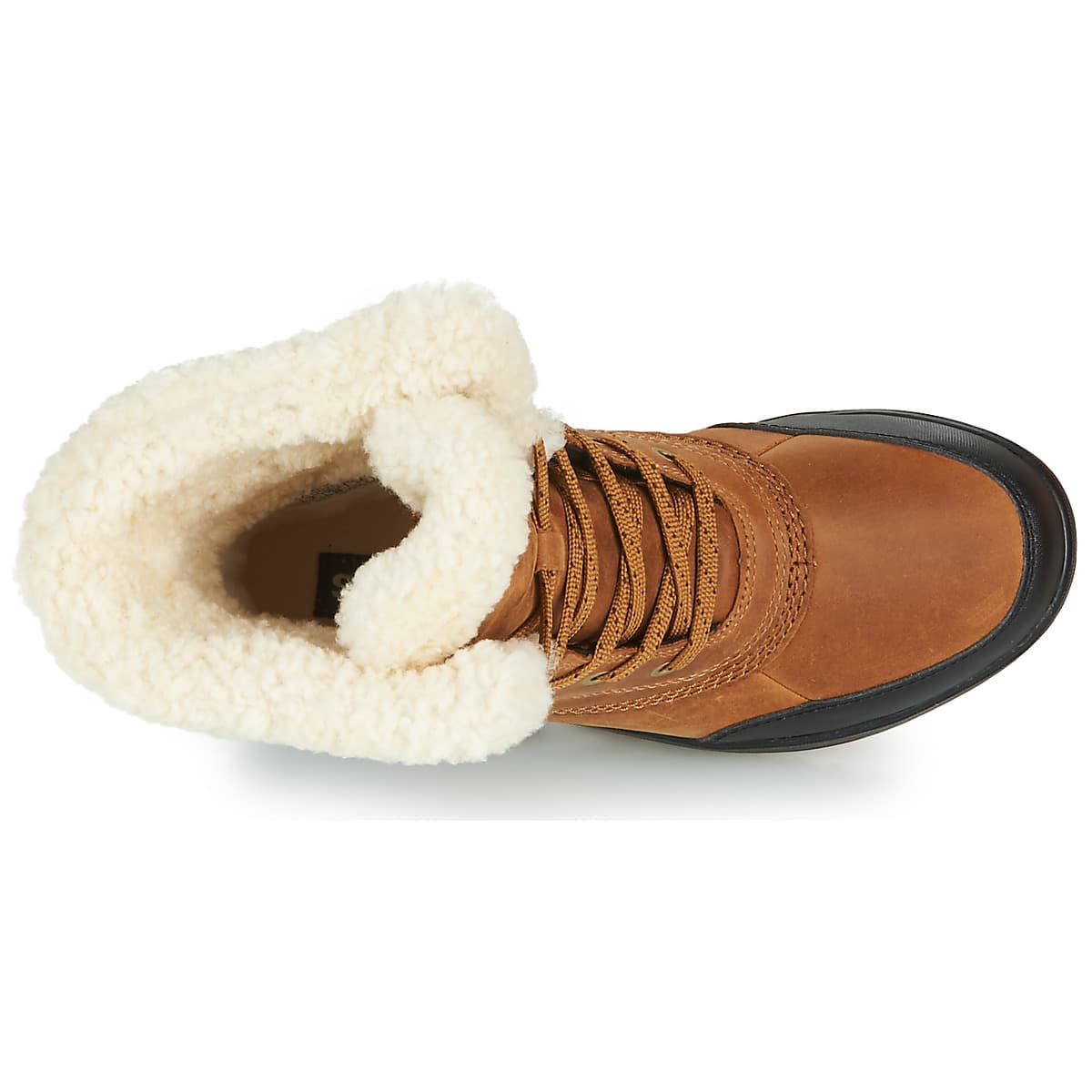 Women's Boots Sorel Brown