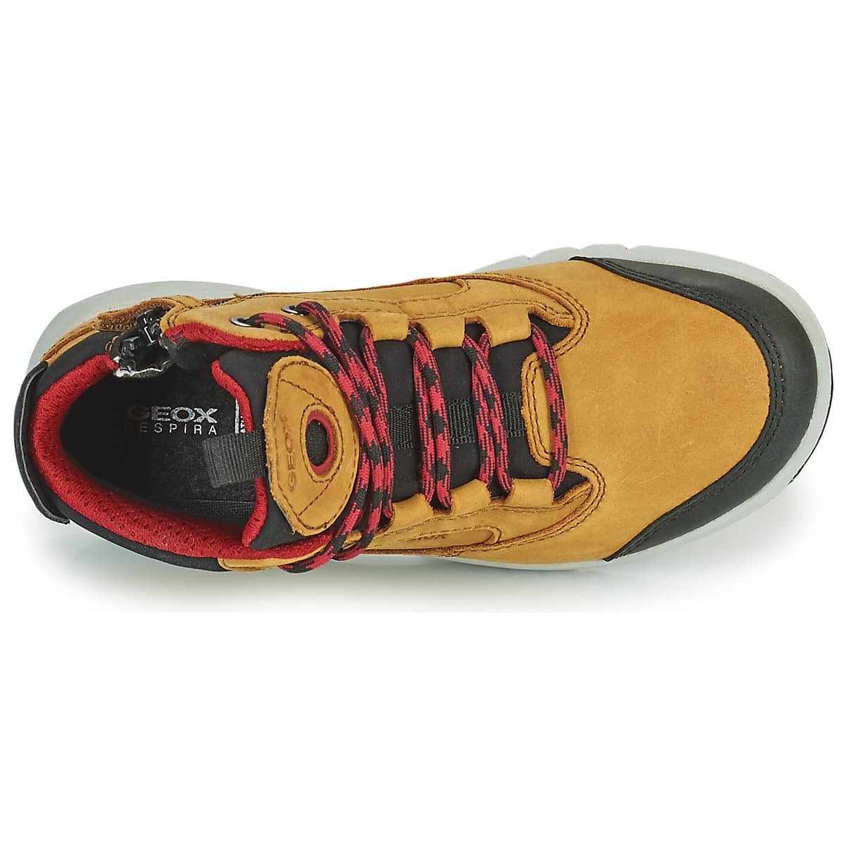 Boys' Sneakers Geox Brown