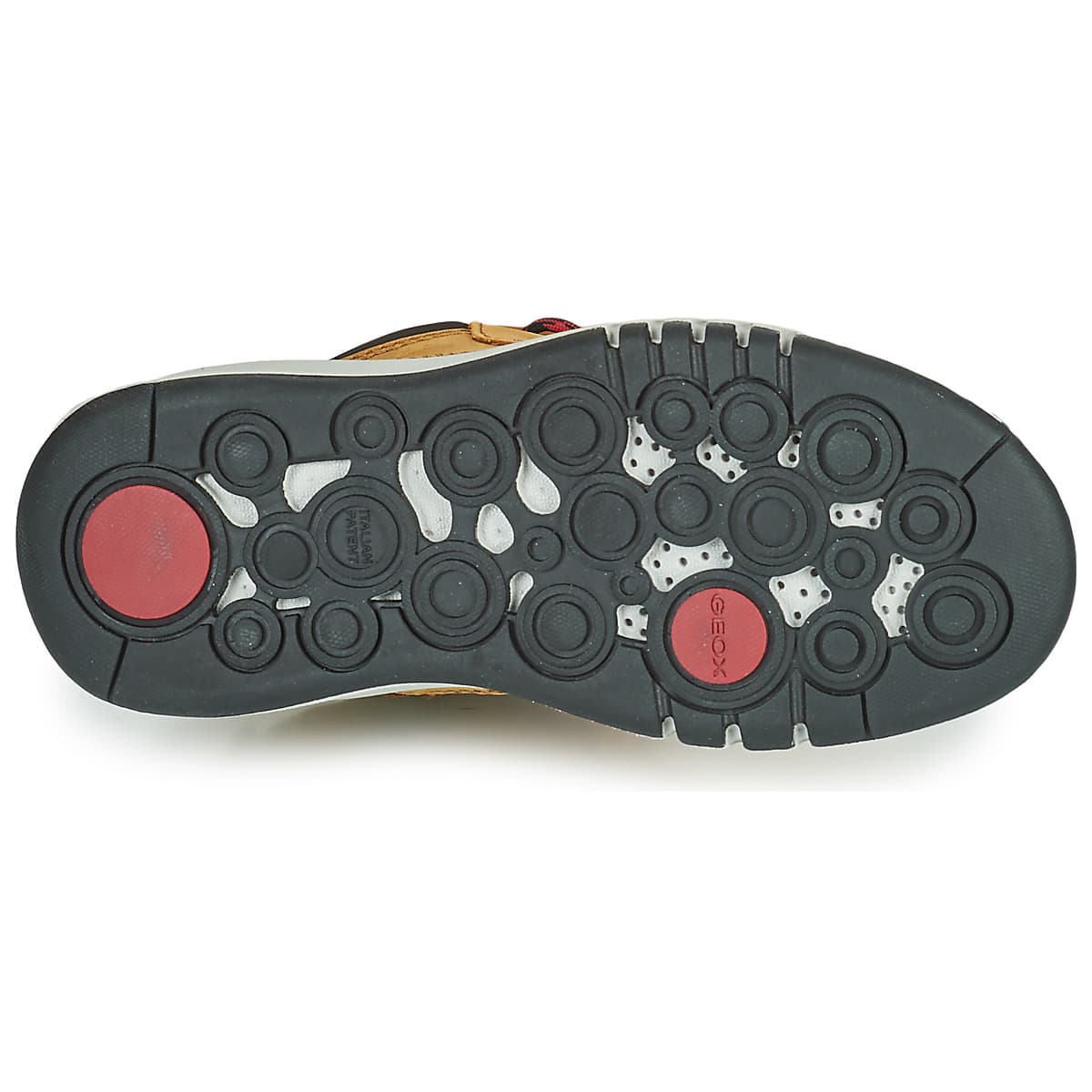 Boys' Sneakers Geox Brown