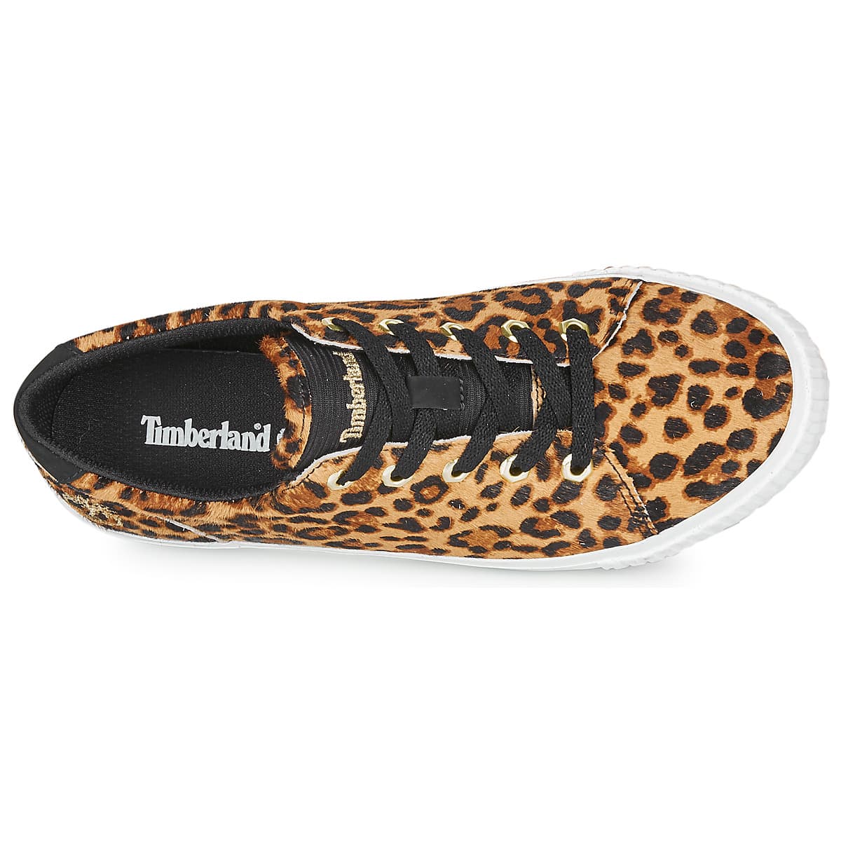 Women's Sneakers Timberland Brown