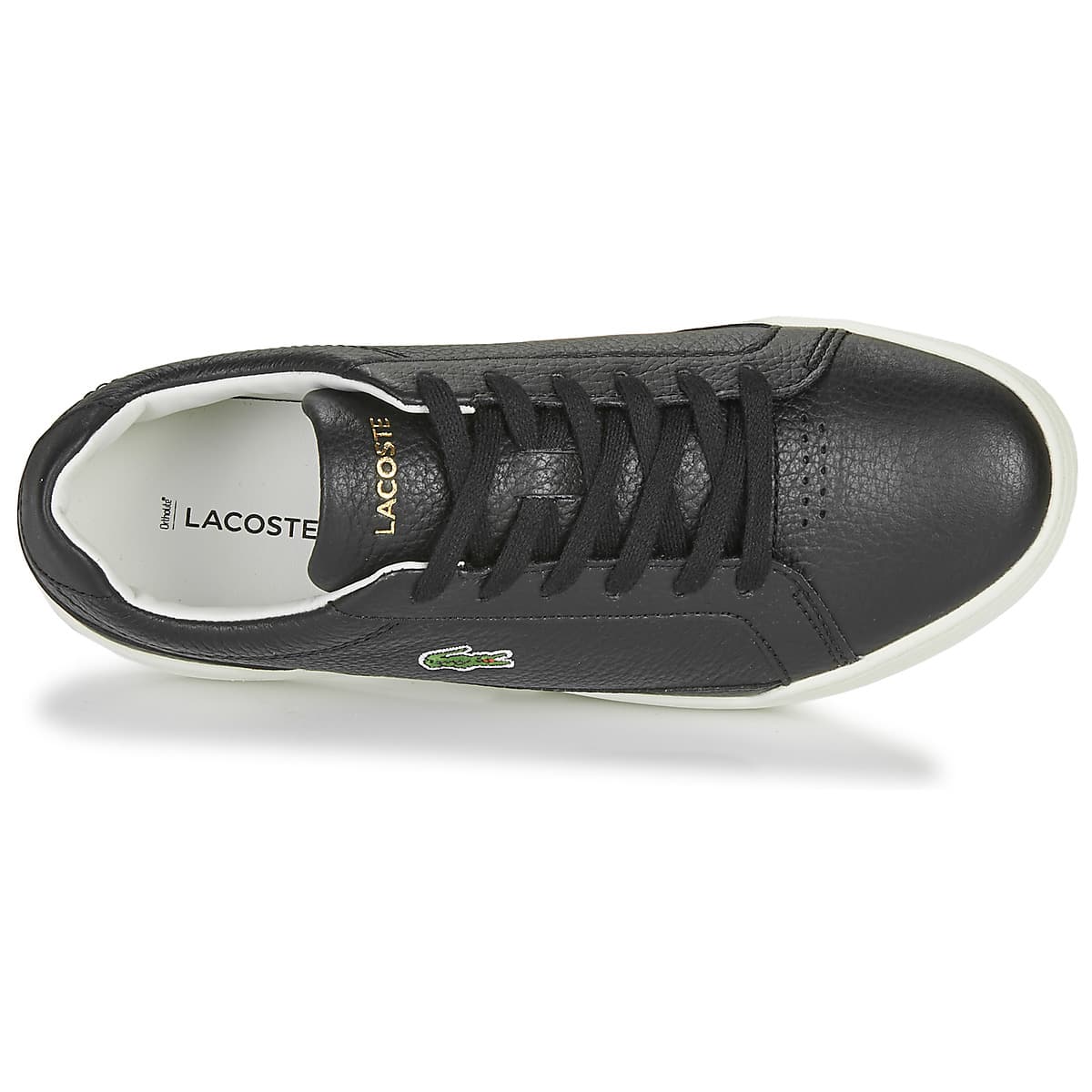 Women's Sneakers Lacoste Black