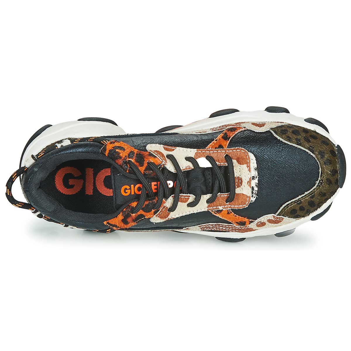 Women's Sneakers Gioseppo Black