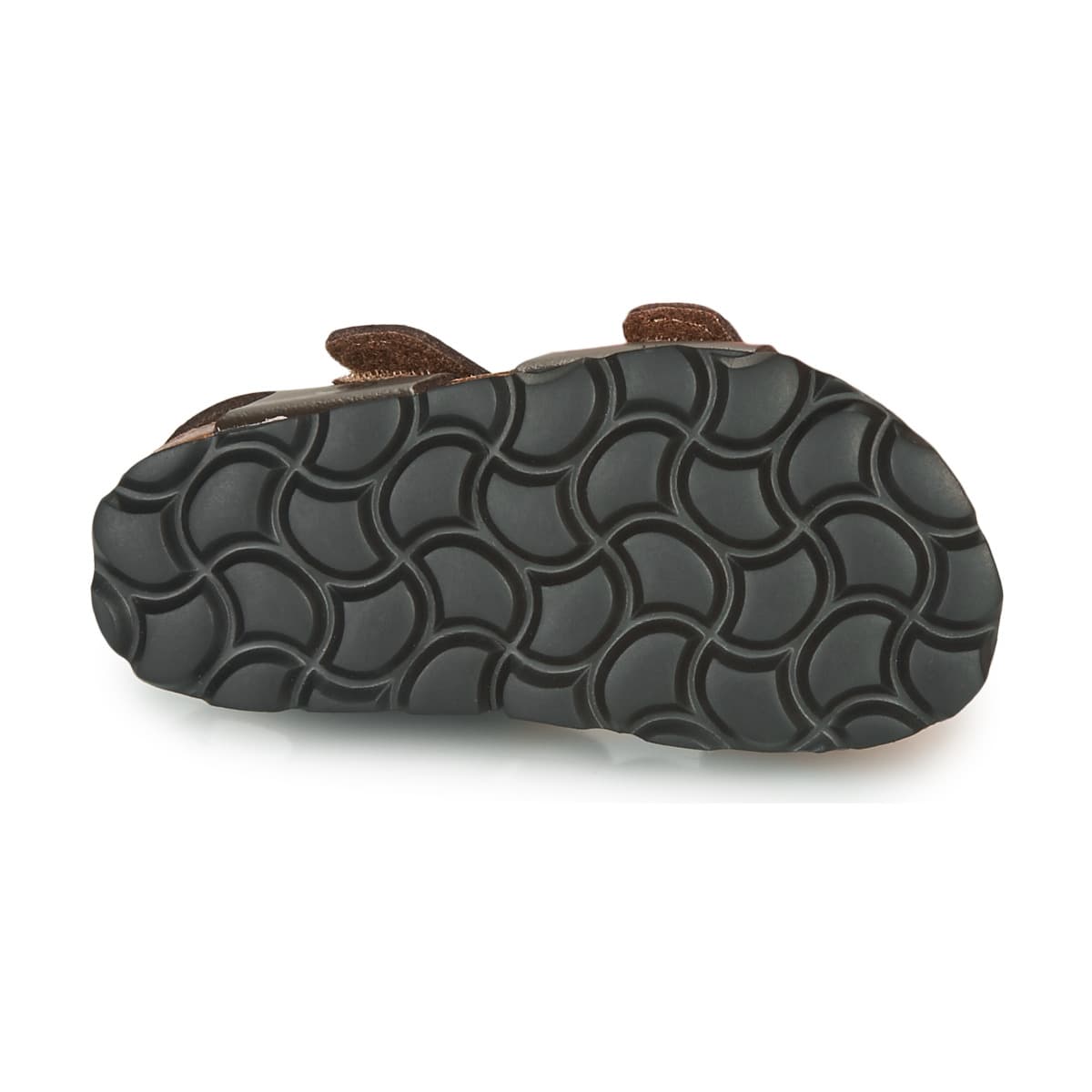 Boys' Sandals Citrouille et Compagnie Brown