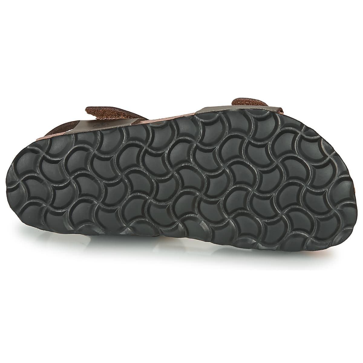 Boys' Sandals Citrouille et Compagnie Brown