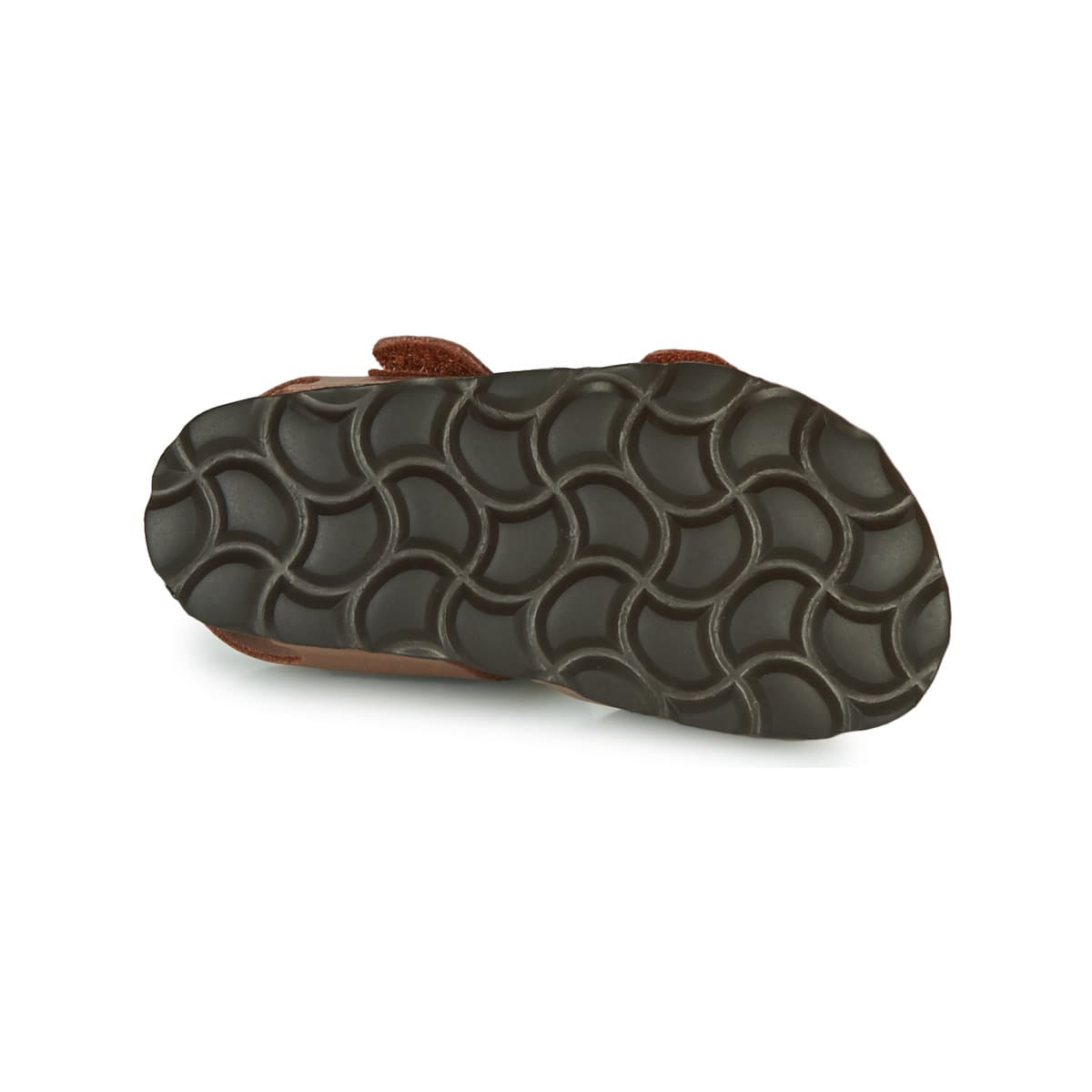 Boys' Sandals Citrouille et Compagnie Brown