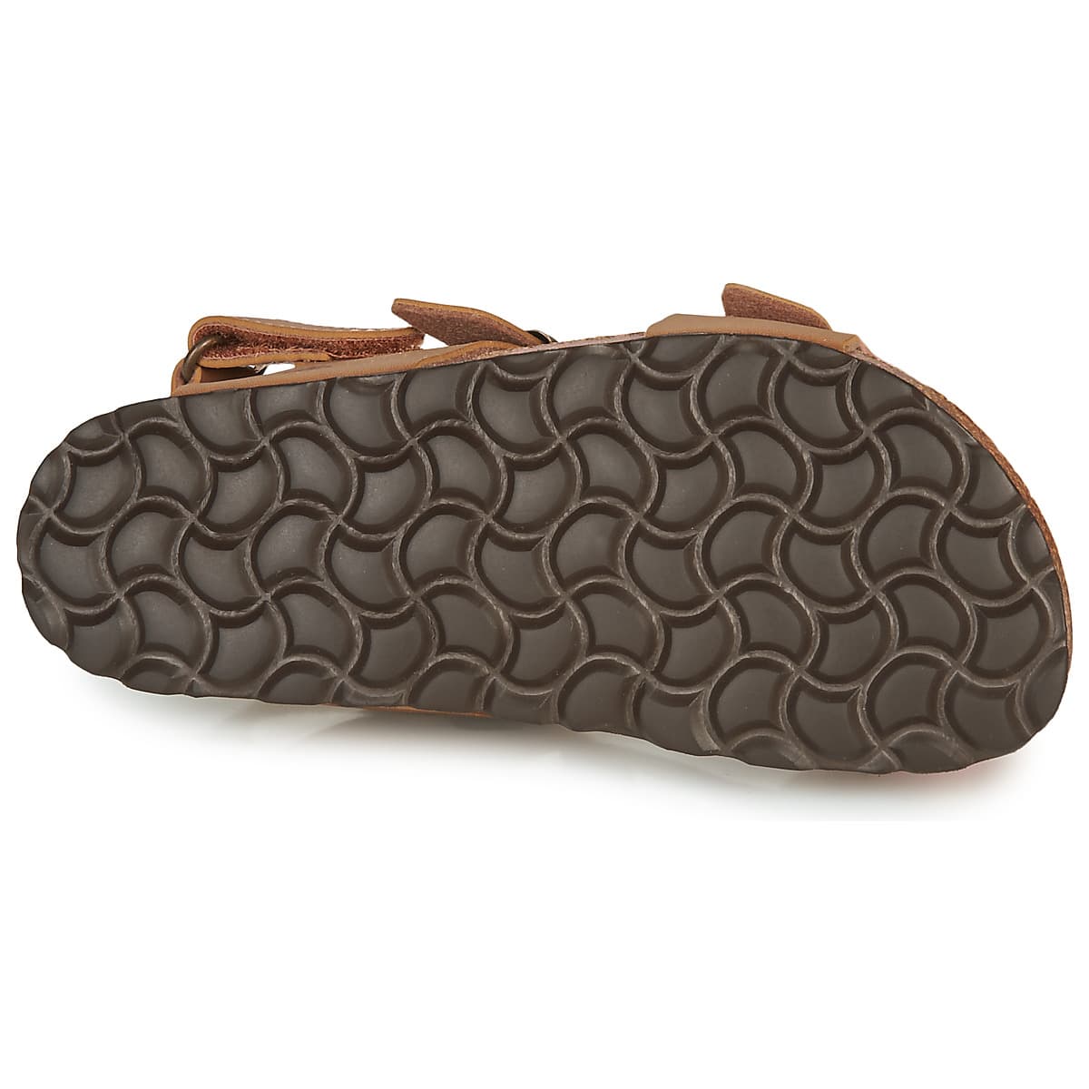 Boys' Sandals Citrouille et Compagnie Brown