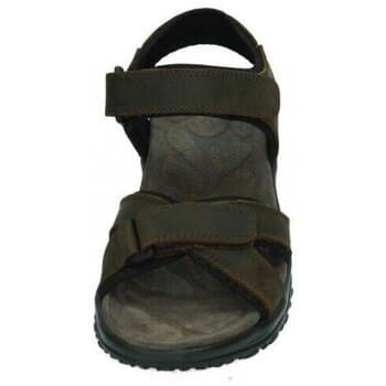 Men's Sandals Xti Multicolor