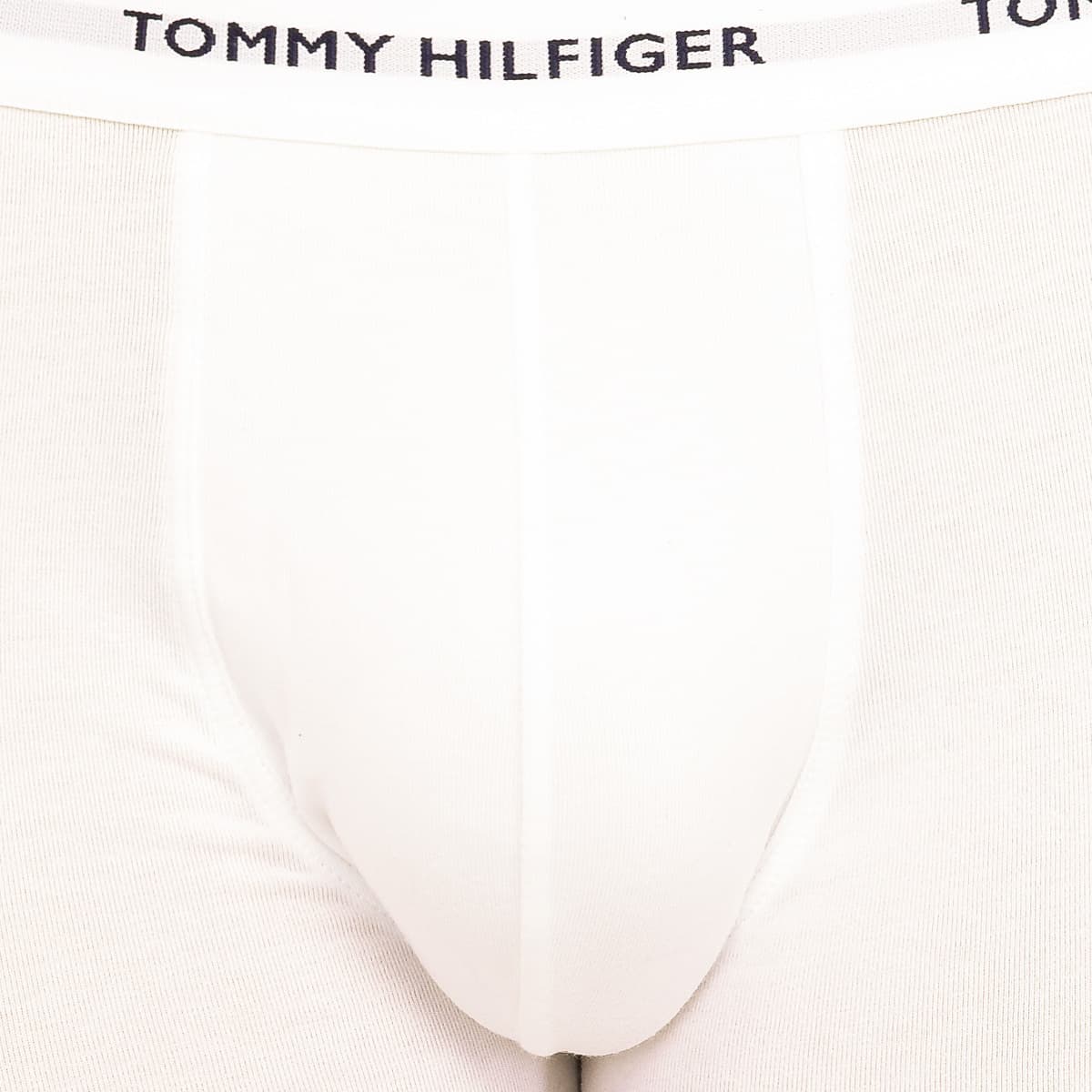 Men's Boxer Briefs Tommy Hilfiger Multicolor