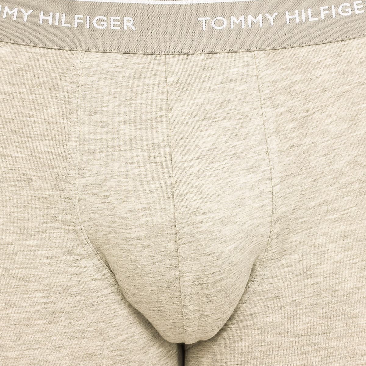 Men's Boxer Briefs Tommy Hilfiger Multicolor