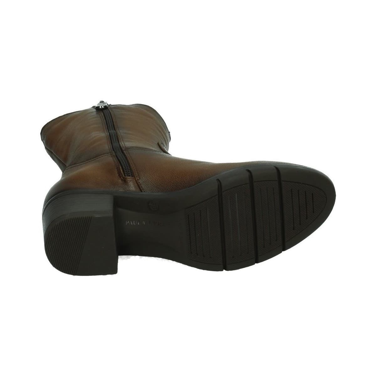 Women's Boots Paula Urban Multicolor