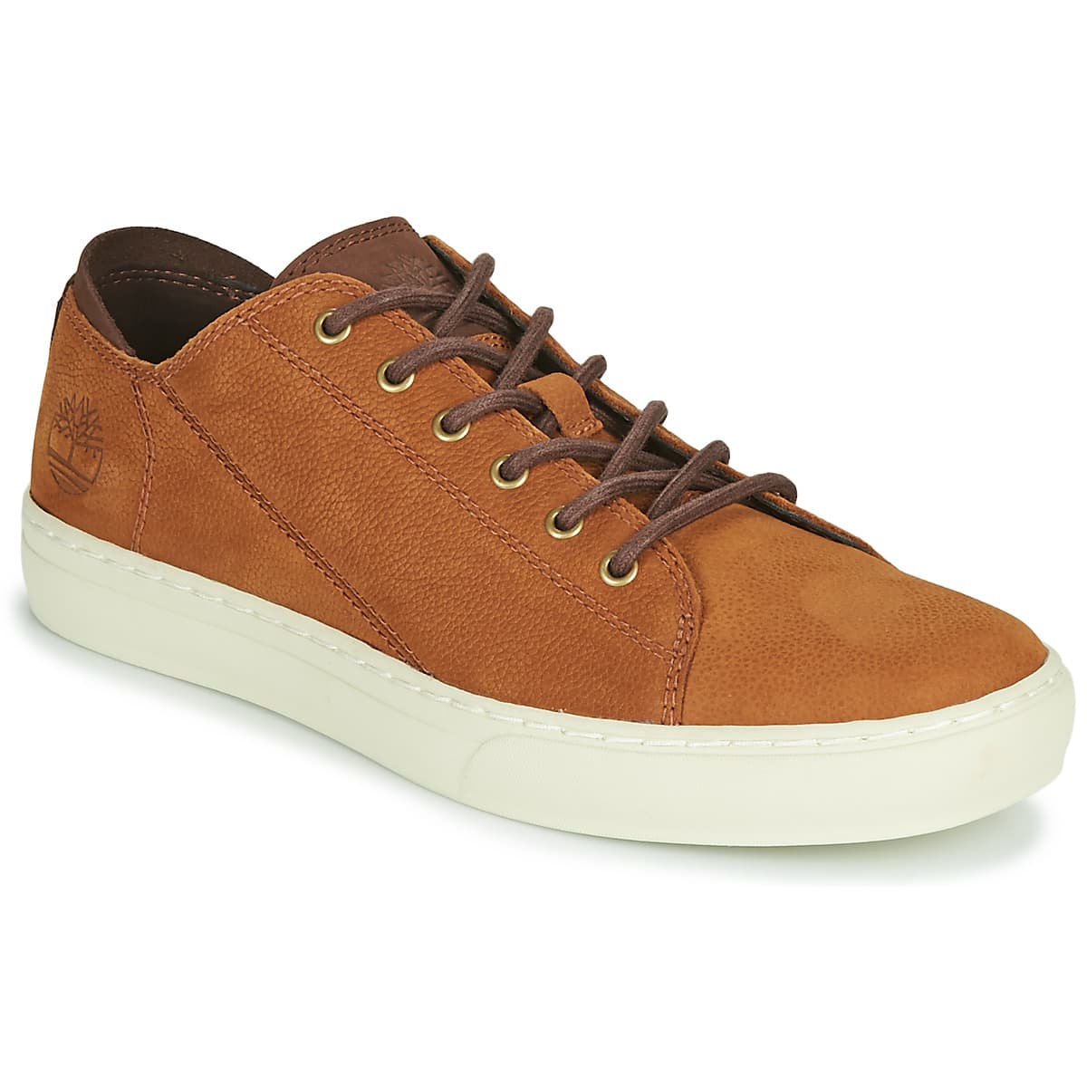 Men's Sneakers Timberland Brown