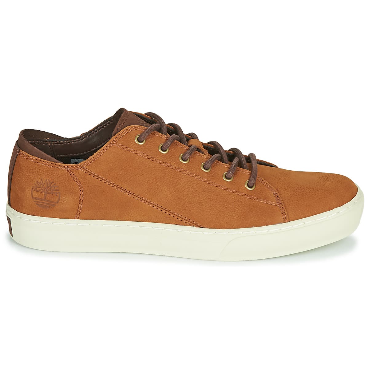 Men's Sneakers Timberland Brown