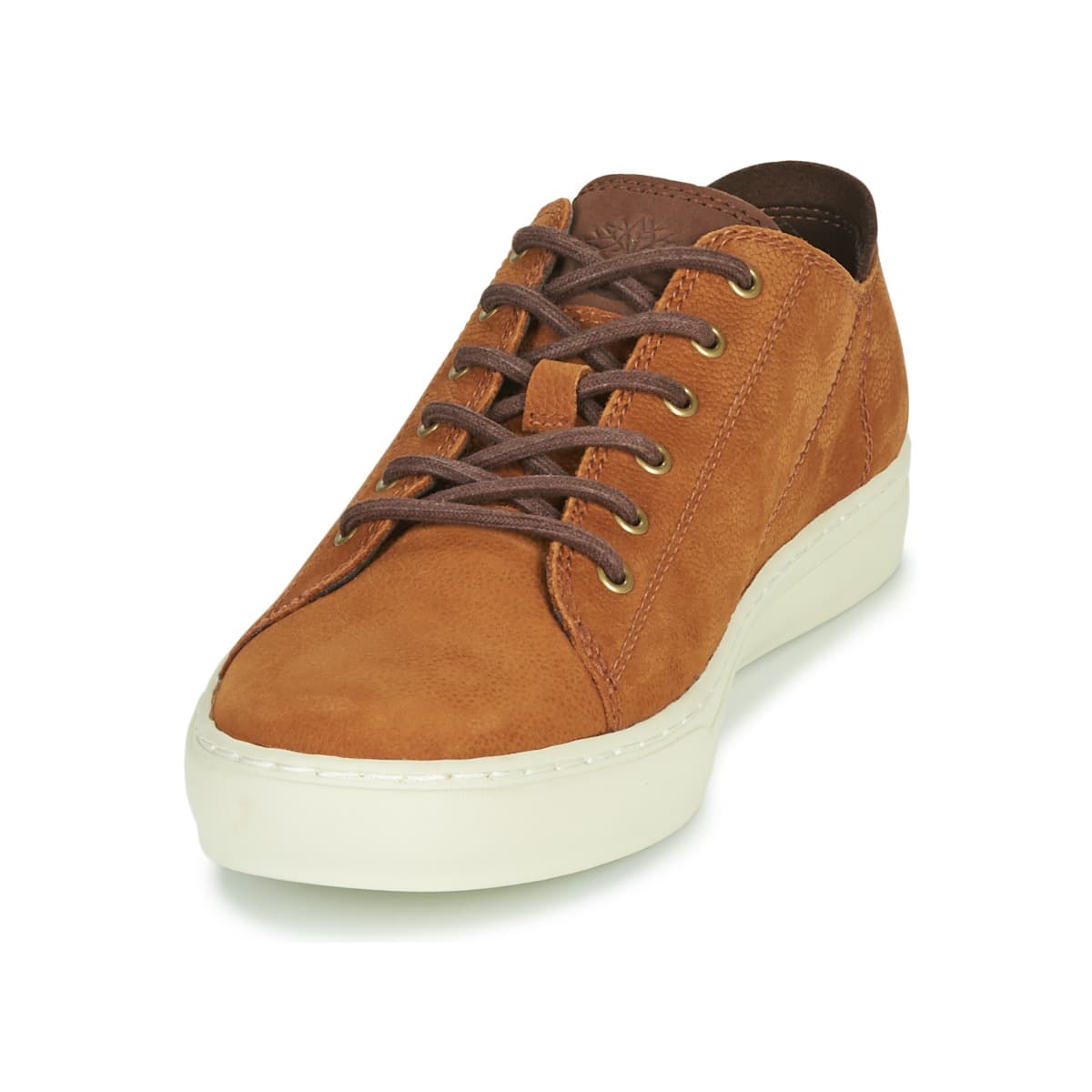 Men's Sneakers Timberland Brown