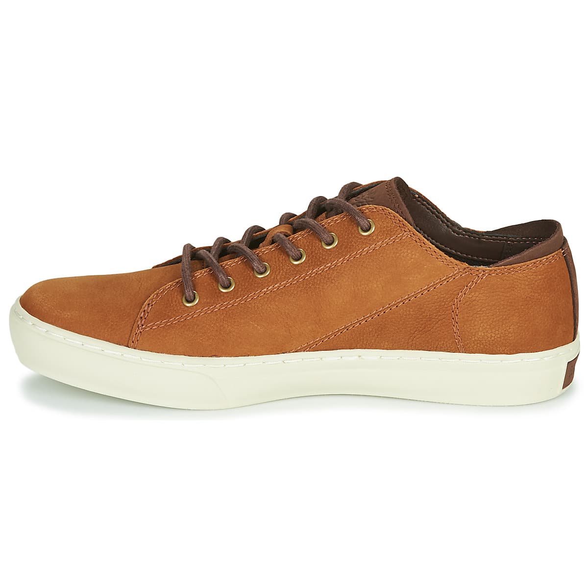 Men's Sneakers Timberland Brown