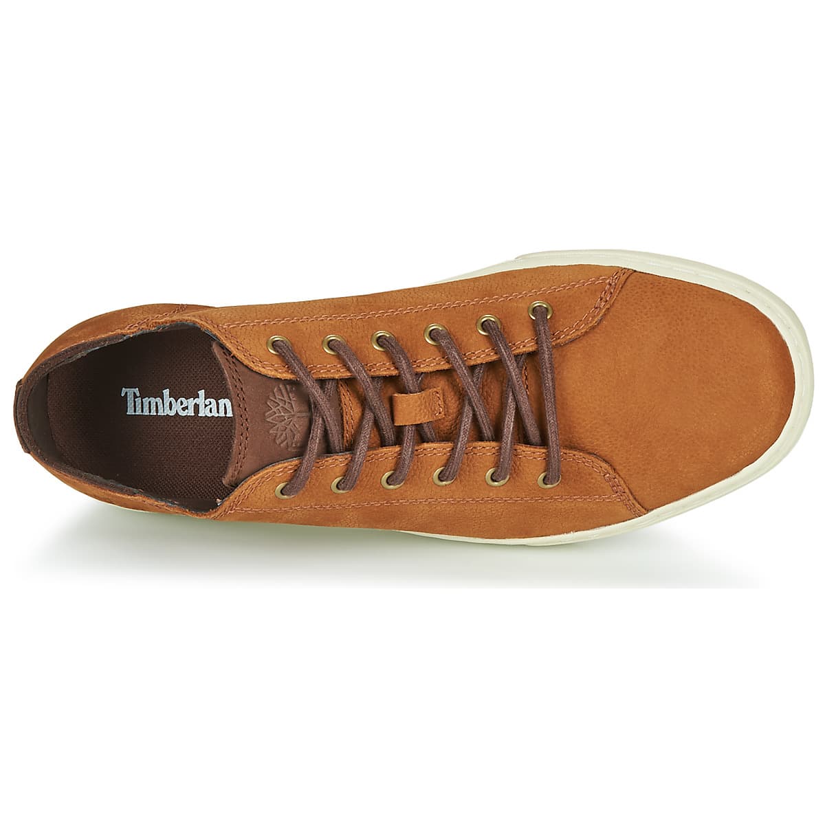 Men's Sneakers Timberland Brown