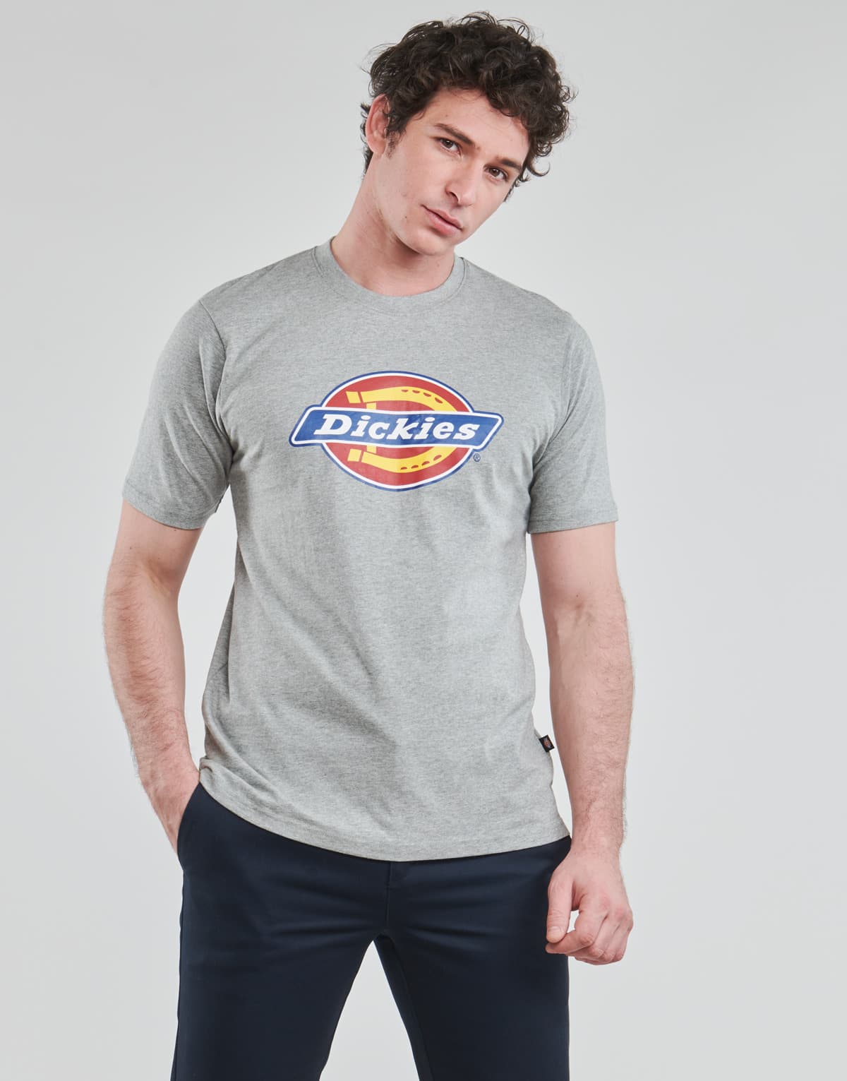 Men's T-Shirts Dickies Gray