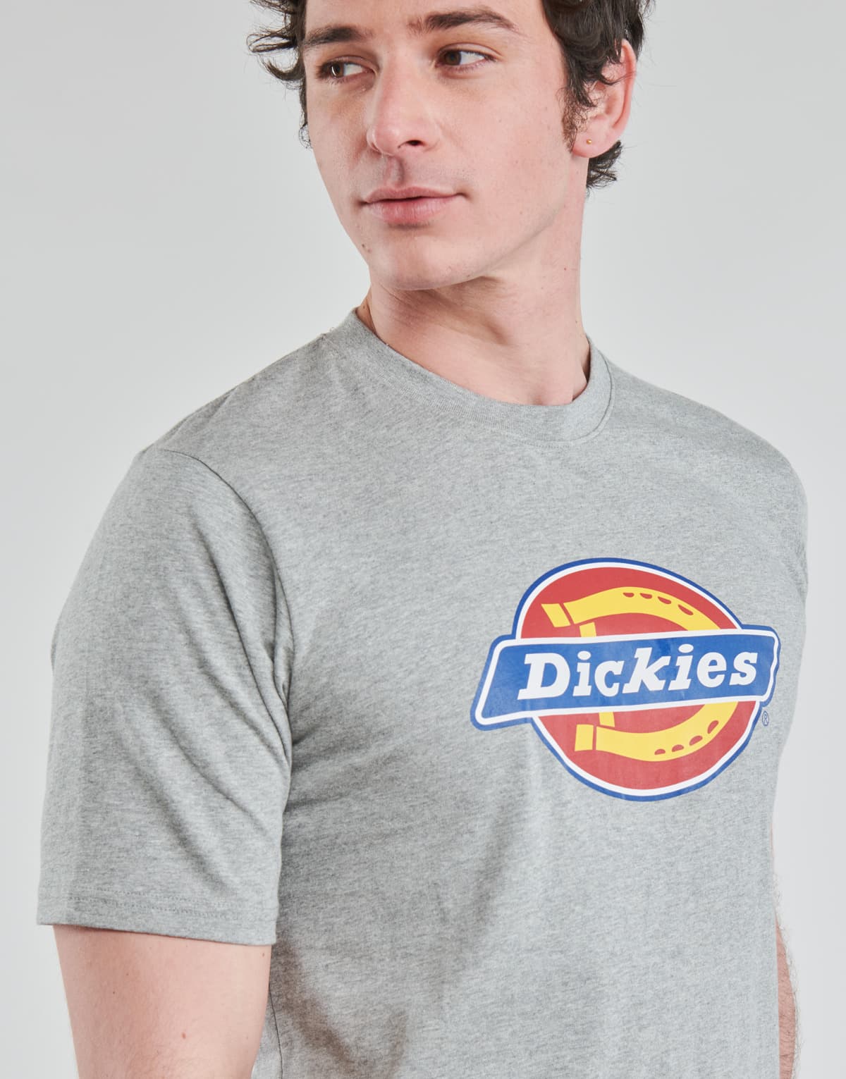 Men's T-Shirts Dickies Gray