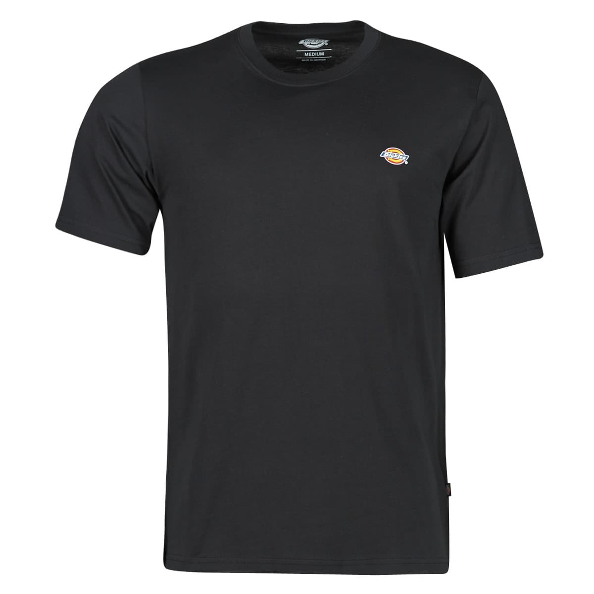T-shirt με κοντά μανίκια Dickies SS MAPLETON TEE