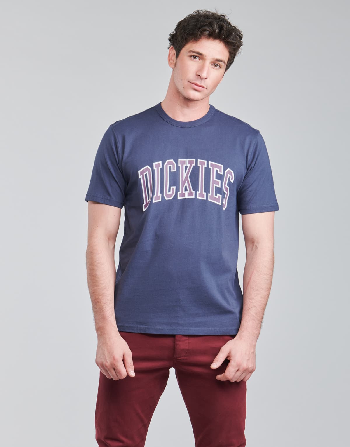 Men's T-Shirts Dickies Blue