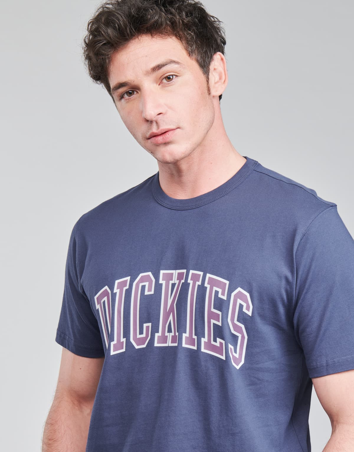 Men's T-Shirts Dickies Blue