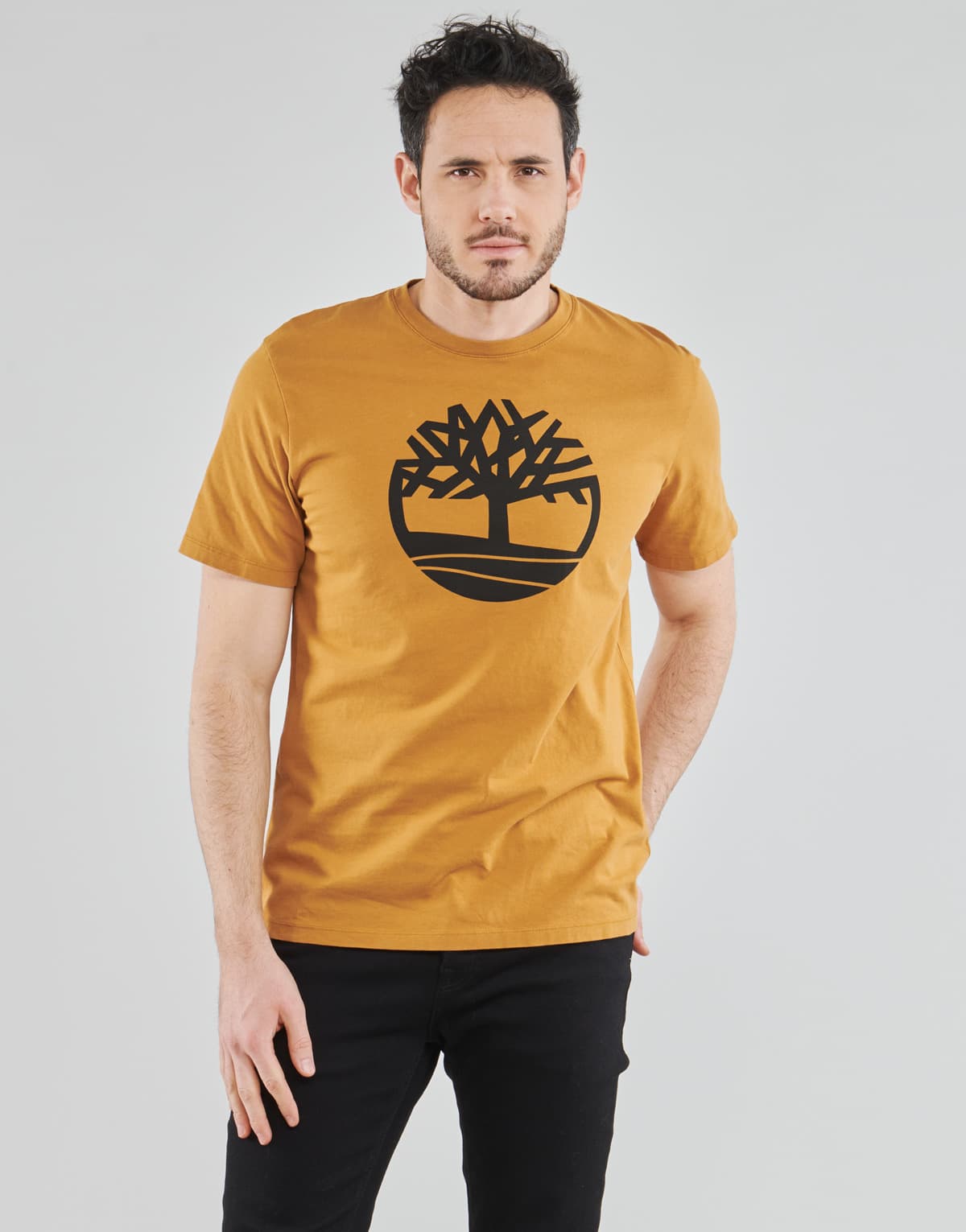 Men's T-Shirts Timberland Beige