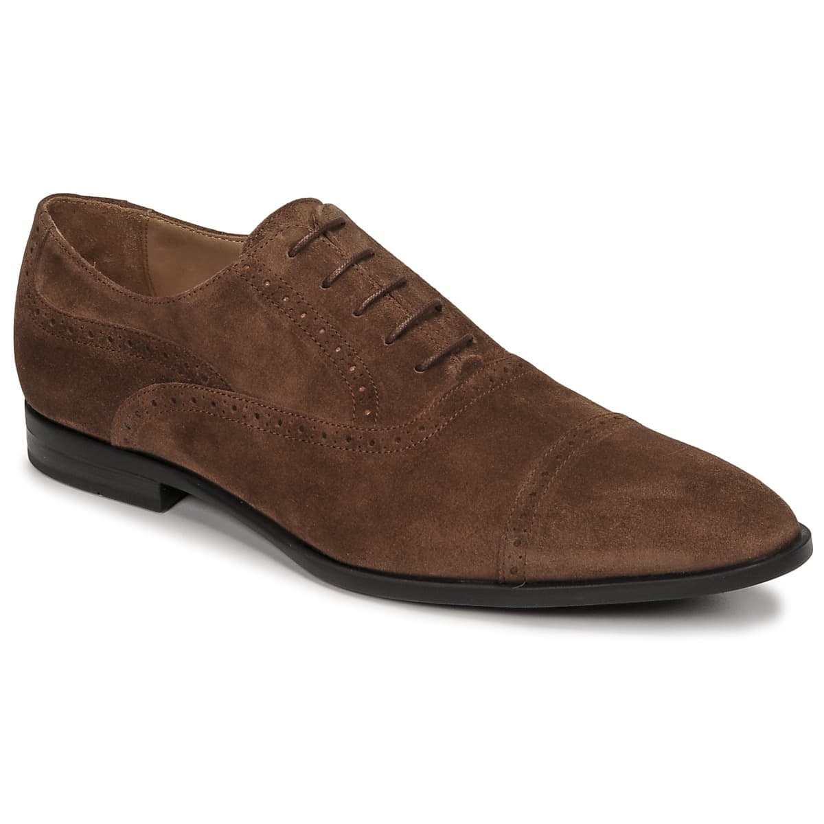 Oxfords Pellet ALEX