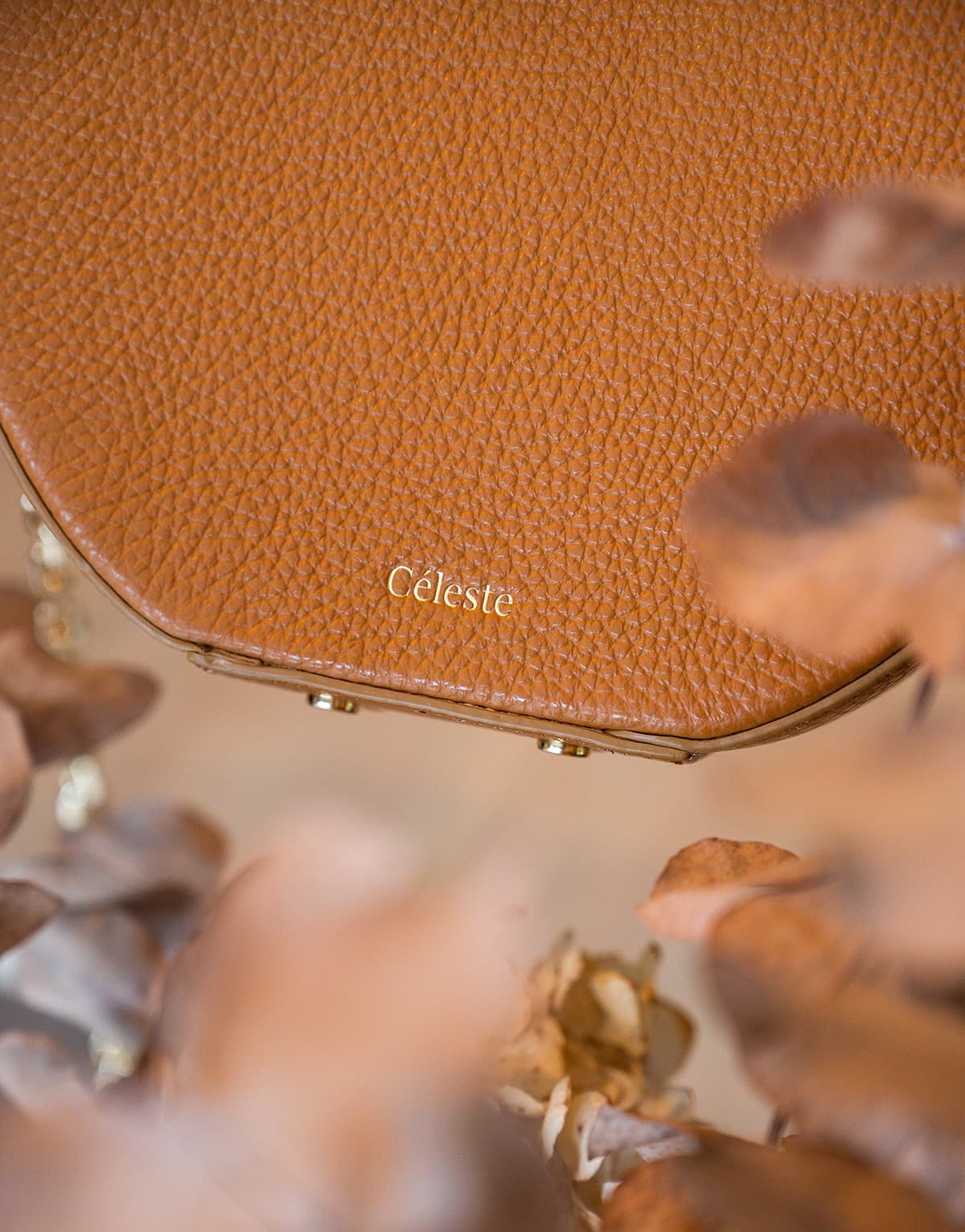 Women's Shoulder Bags Céleste Brown