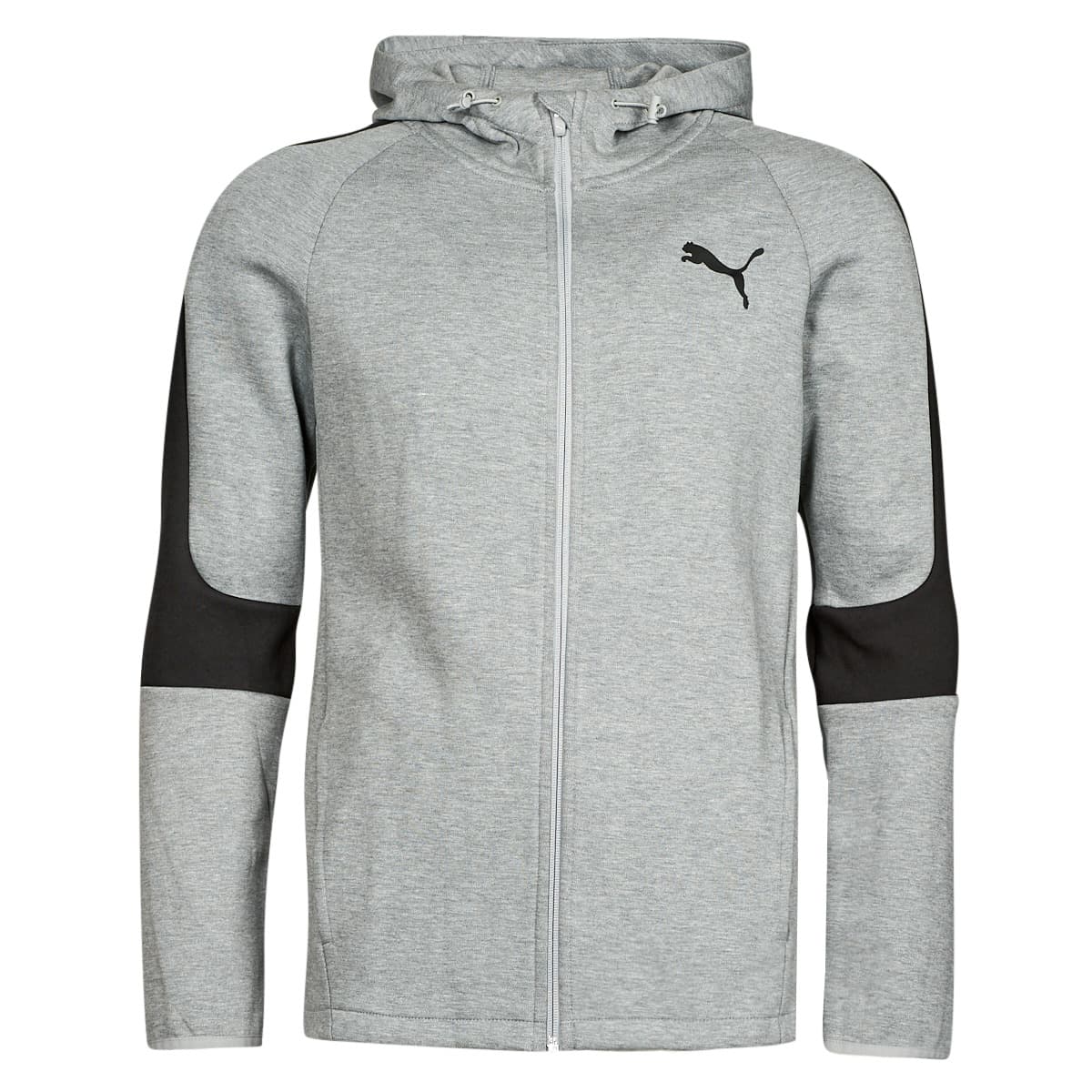 Men's Sweatshirts Puma Gray