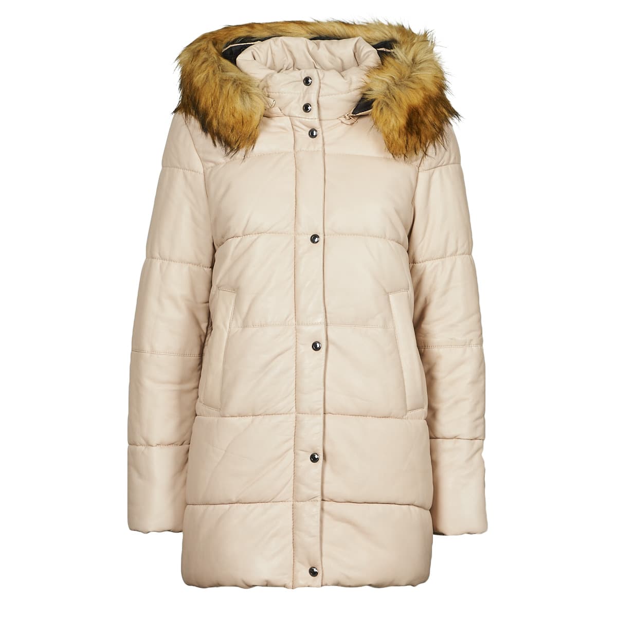 Women's Jackets Oakwood Beige
