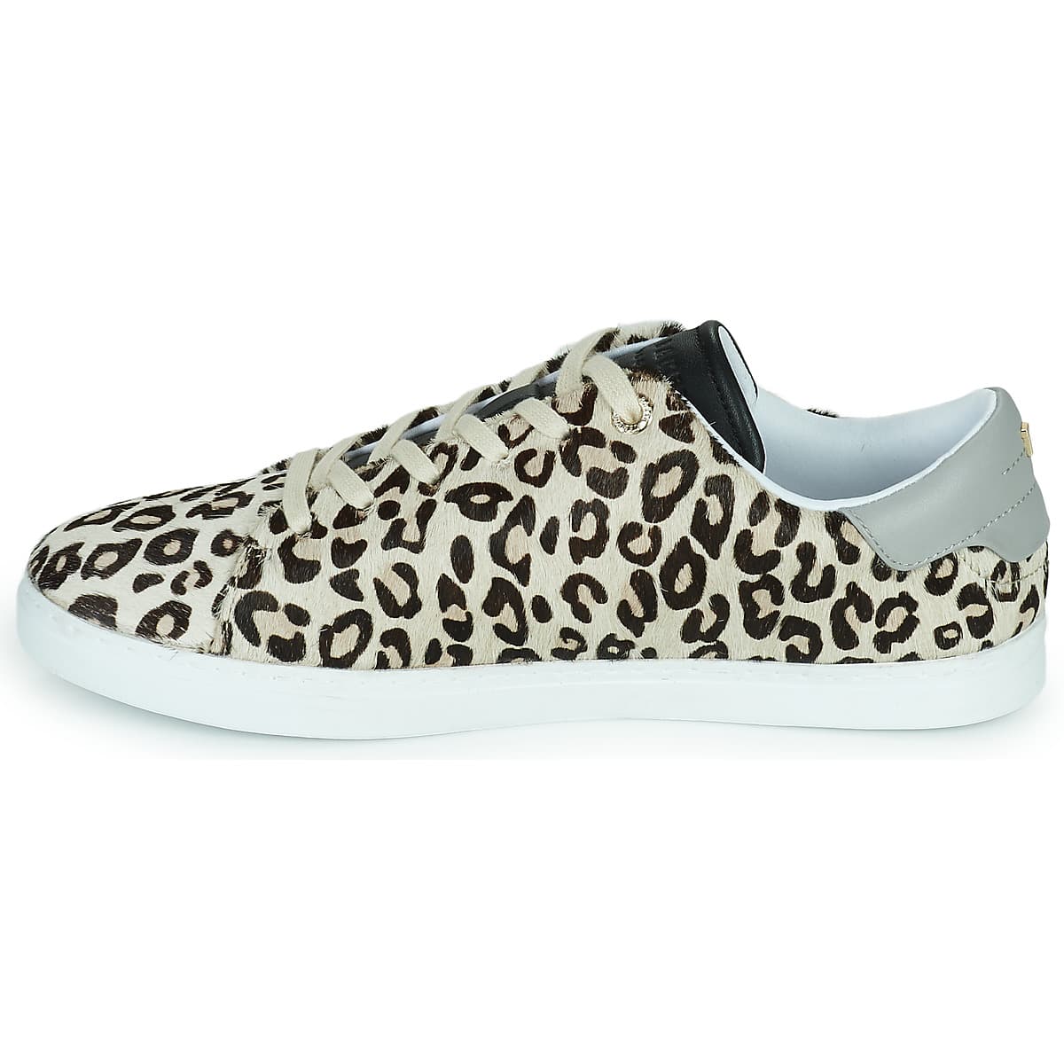 Women's Sneakers Ted Baker Multicolor