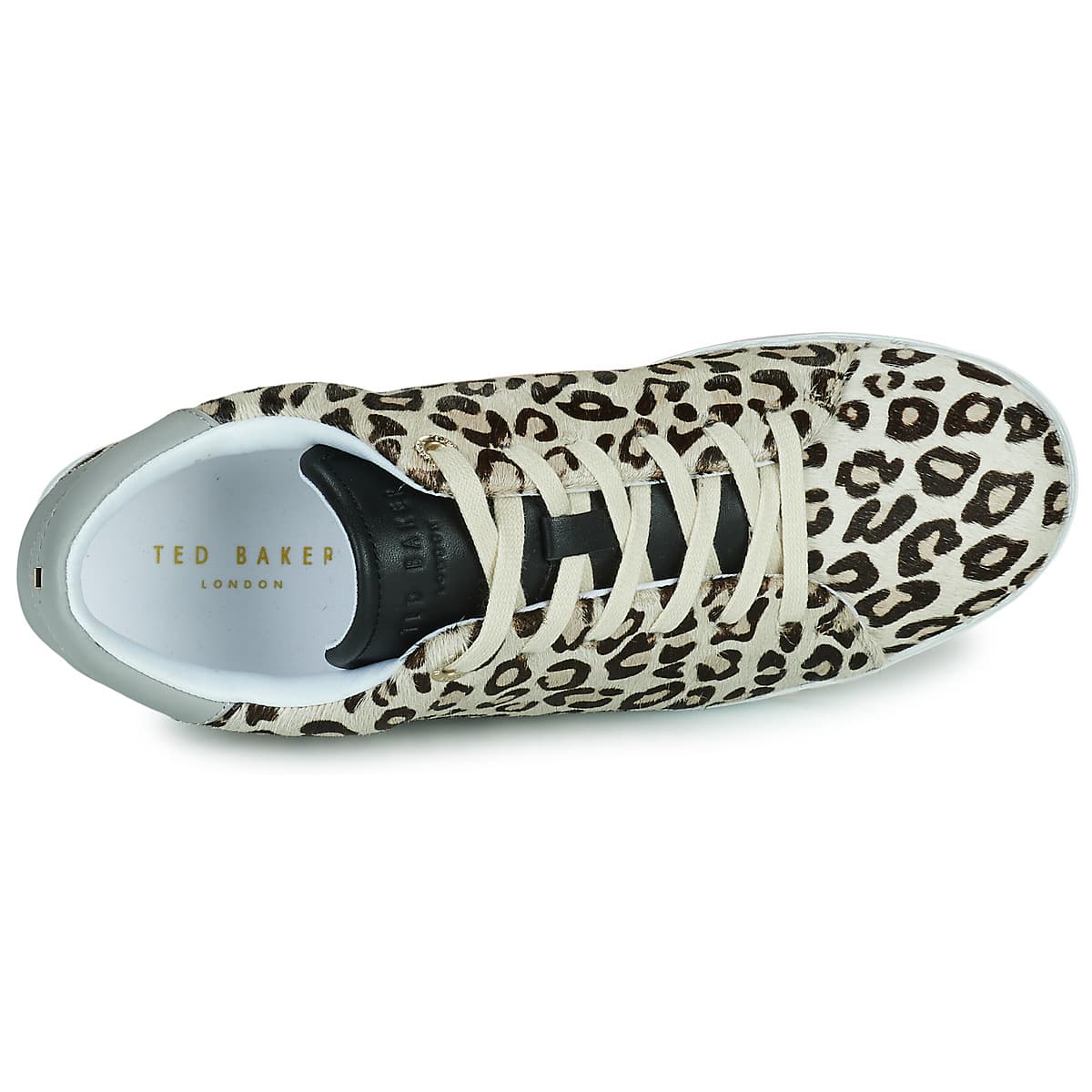 Women's Sneakers Ted Baker Multicolor