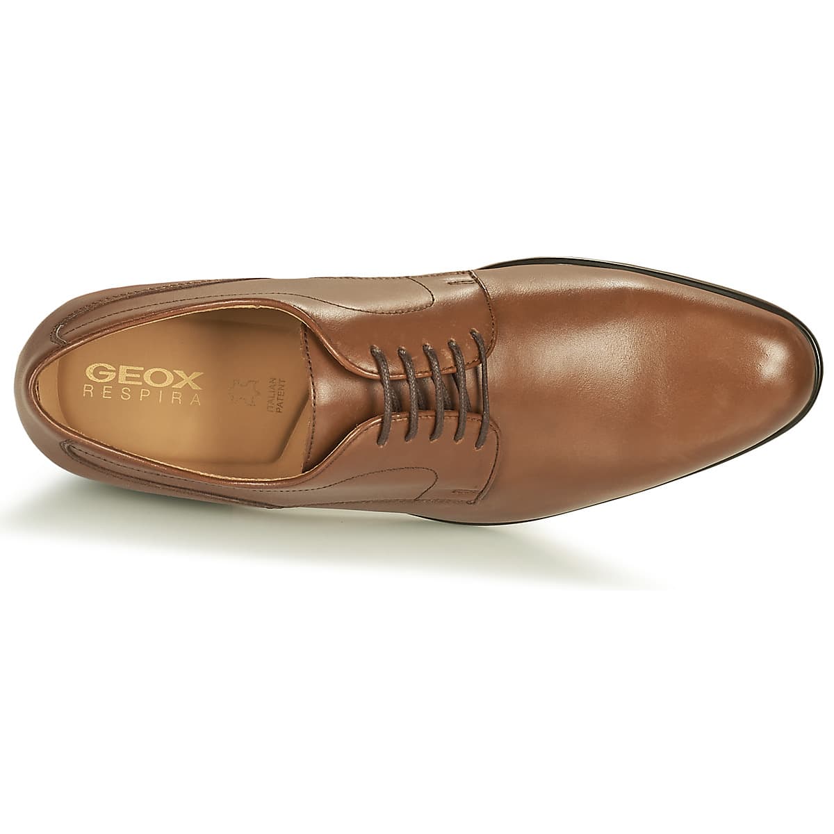 Men's Derby Shoes Geox Brown