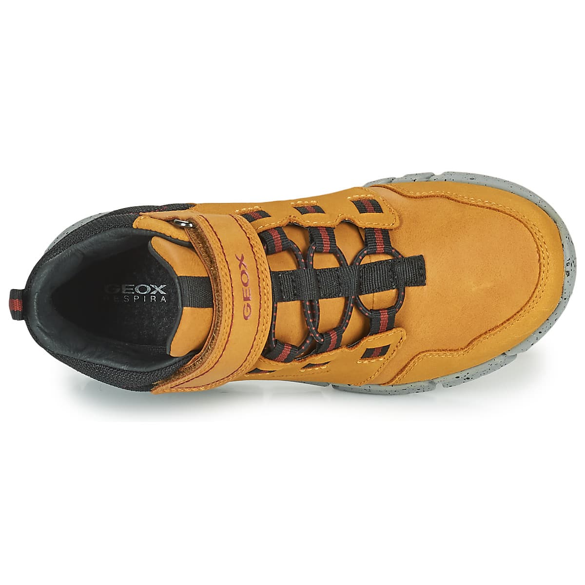 Boys' Sneakers Geox Brown