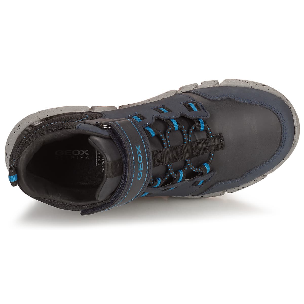 Boys' Boots Geox Blue