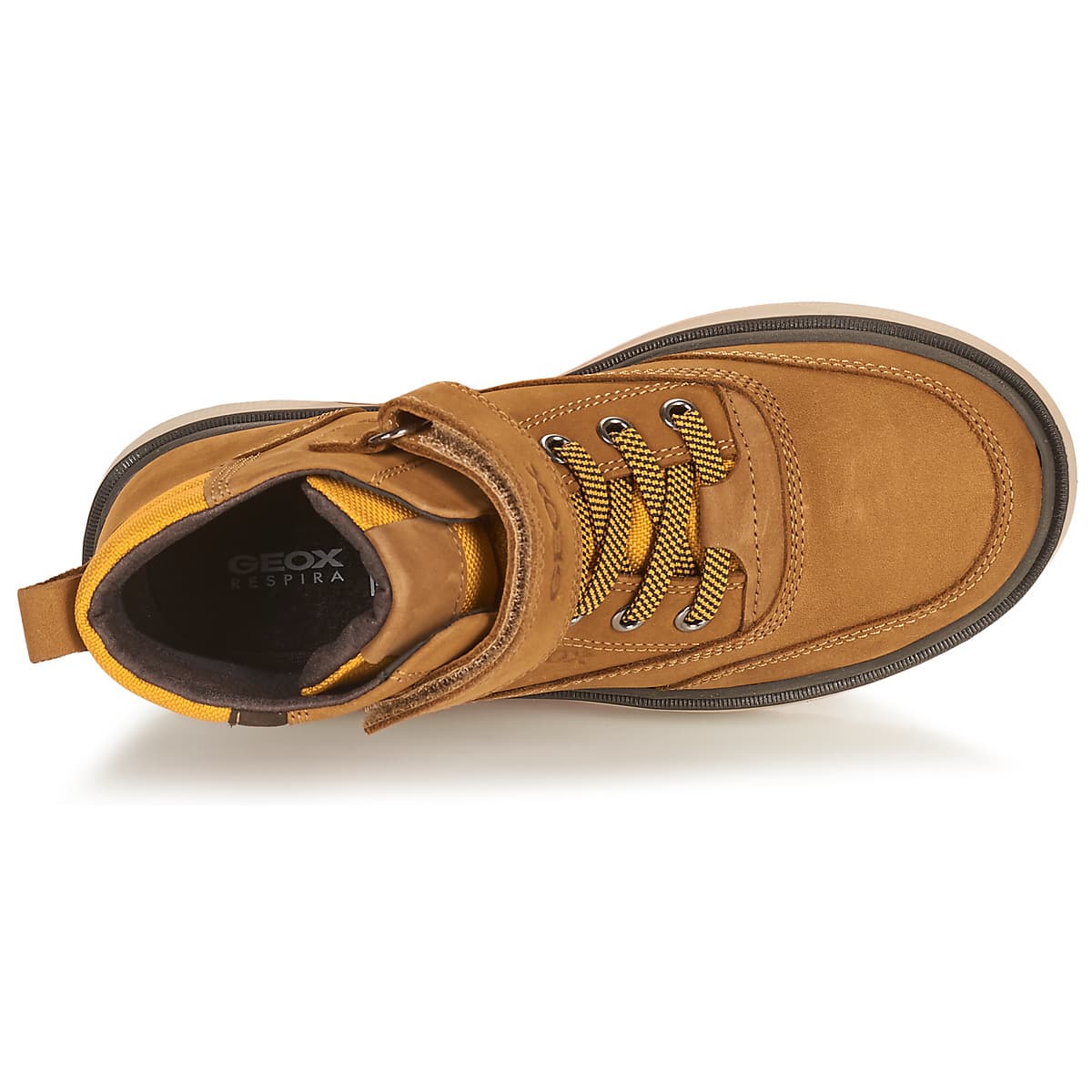 Boys' Sneakers Geox Brown