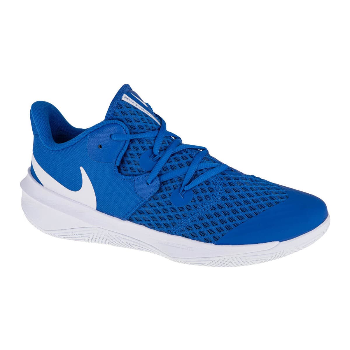 Men's Sports Shoes Nike Blue
