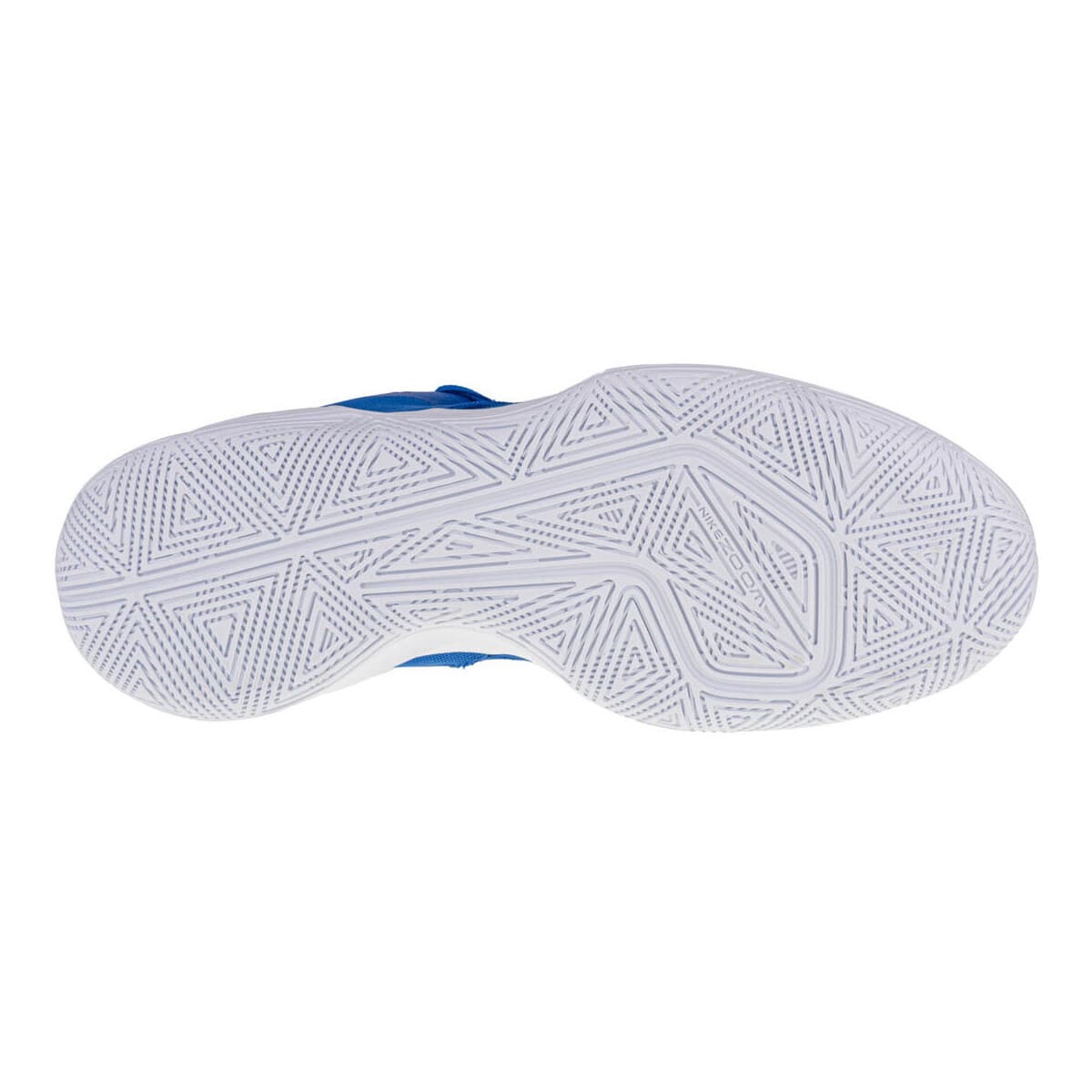 Men's Gym Shoes Nike Blue