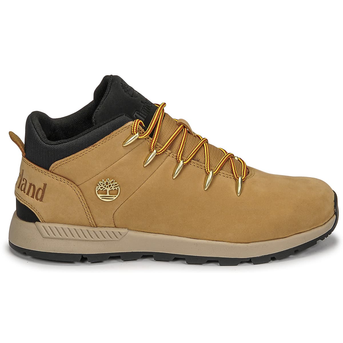 Boys' Sneakers Timberland Yellow