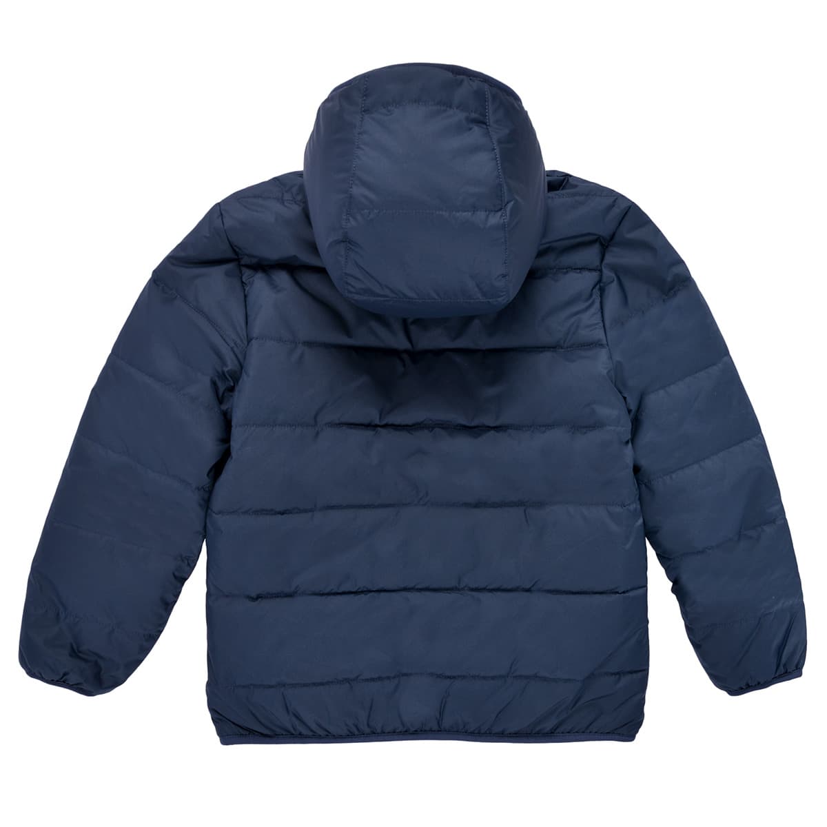 Boys' Jackets Patagonia Blue