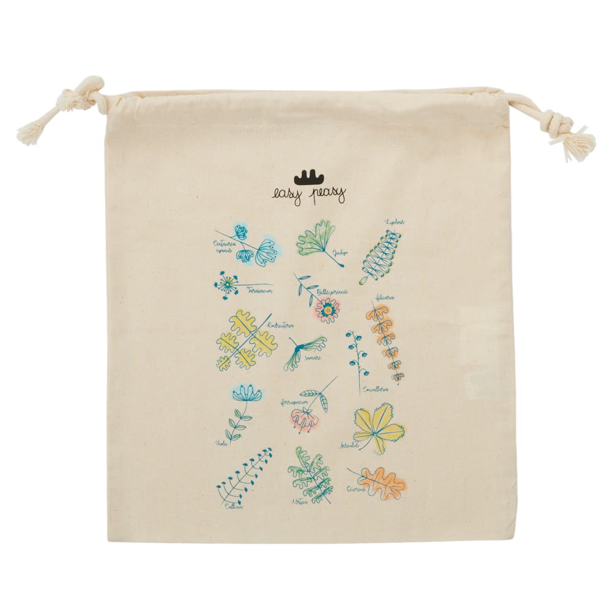 Boys' Accessories Easy Peasy Brown