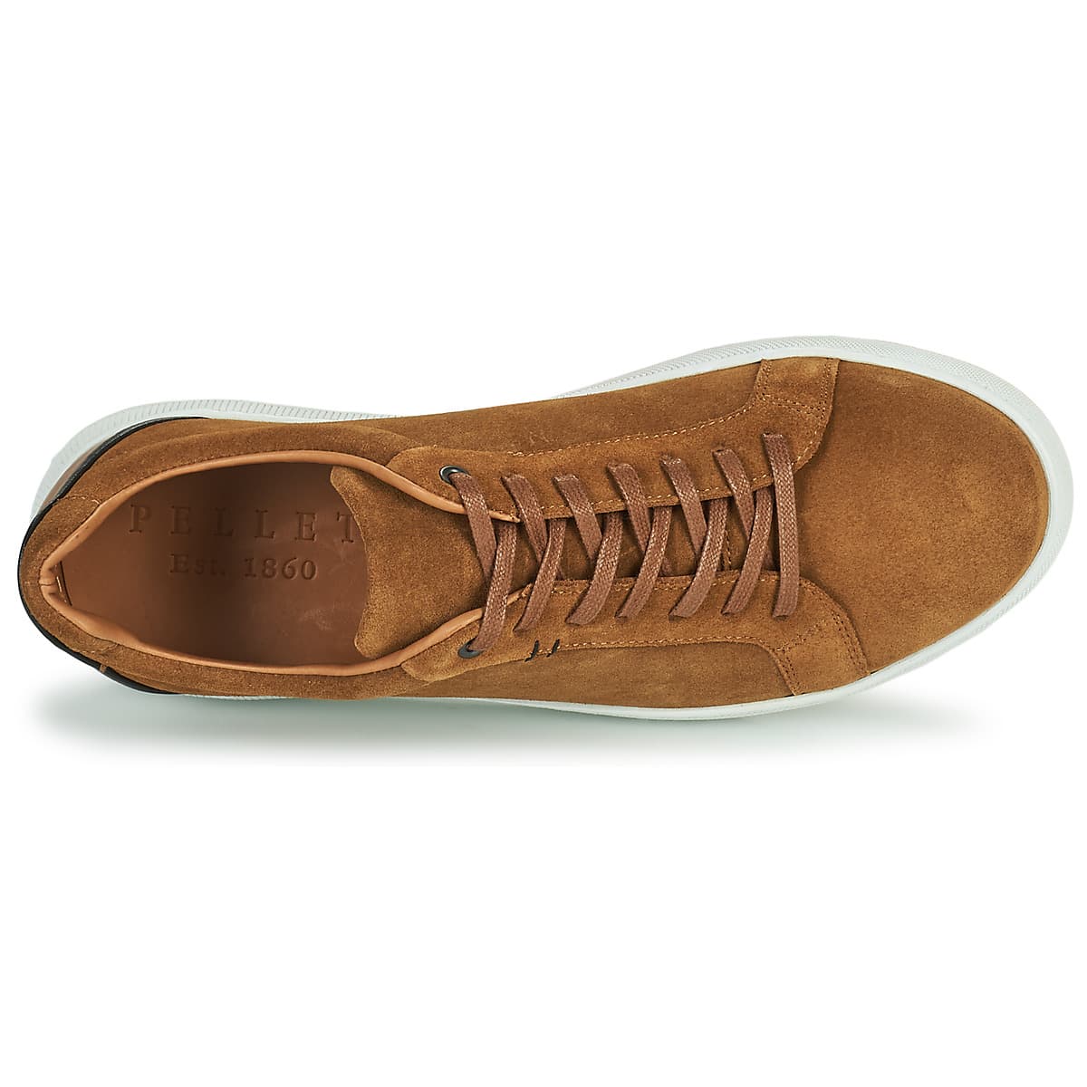 Men's Sneakers Pellet Brown