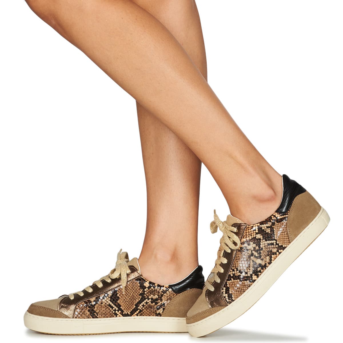 Women's Sneakers Betty London Brown