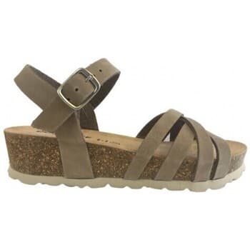 Women's Platforms Coqueflex Brown
