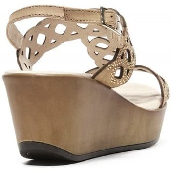 Women's Pumps 24 Hrs