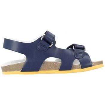 Boys' Sandals Chicco Blue