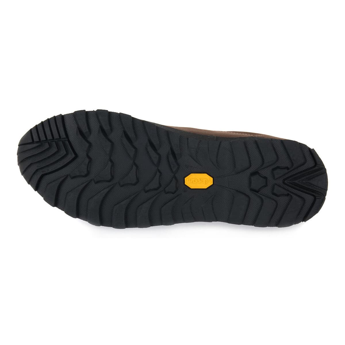 Men's Gym Shoes Lomer Gray